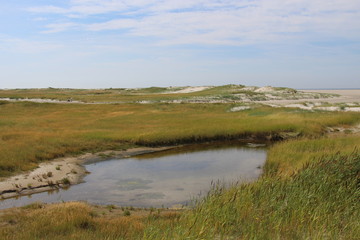 Strand von Sankt Peter-Ording