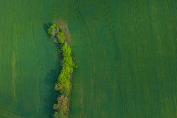 Agricultural fields, Montsec Range, The Pre-Pyrenees, Lleida, Catalonia, Spain, Europe