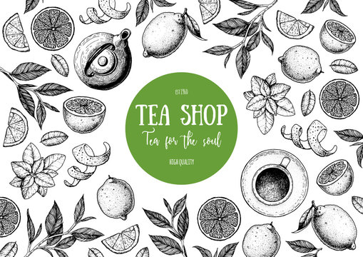 Tea vector illustration. Citrus and tea leaves. Healthy drink. Hand drawn sketch. Engraved style. Can used for vintage package design with tea product. Vector hand drawn set.