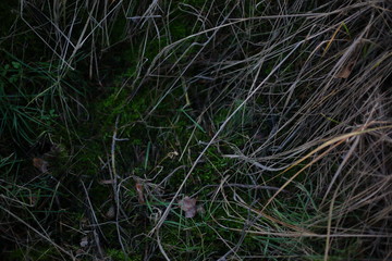 mit einem Sonnenuntergang