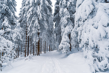 Winter