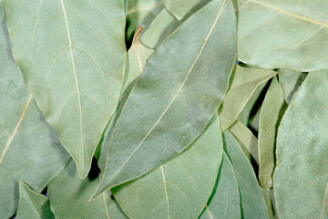 Dried bay leaves for texture or background