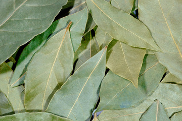 Dried bay leaves for texture or background