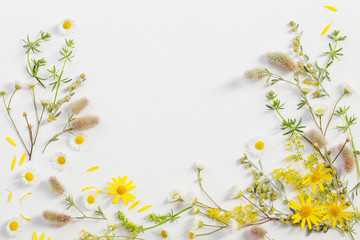 wildflowers on white paper background © Maya Kruchancova