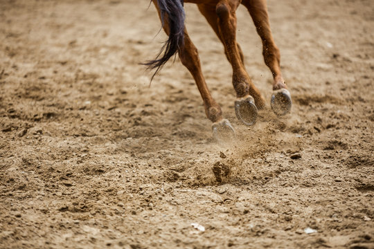 Ground under the hoofs of a running horse