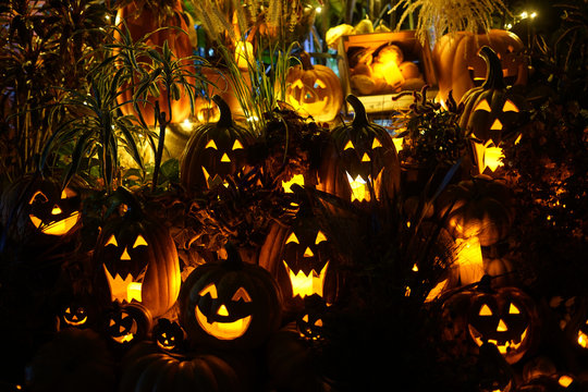 Irrlicht Bilder Durchsuchen 8,062 Archivfotos, und