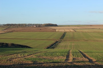 Yorkshire Wolds at Wetwang.