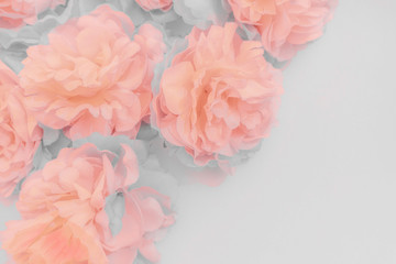 Beautiful abstract color purple and pink flowers on white background and orange flower frame and light pink leaves texture, white background, colorful banner happy valentine