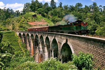 Fototapeta na wymiar Train on the historical bridge