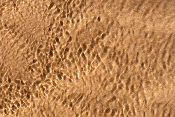 Underwater sand and sunlight reflection on seawater. Beach context