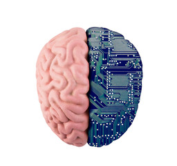 Computer human brain isolated on white with clipping path