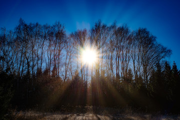 milder Winter