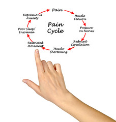 Eight Steps in Cycle of Pain