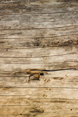 wooden background