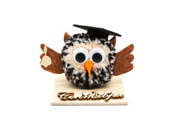 Soft toy owl school teacher isolated on a white background with clipping path