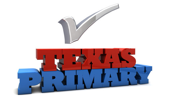 Texas Primary Election USA