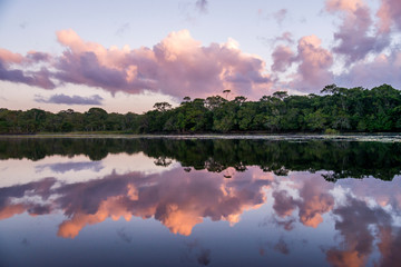 Lagoon Landscape photographed in Linhares, Espirito Santo. Southeast of Brazil. Atlantic Forest...