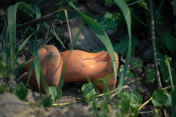 Abandoned toys - a childs cat doll toy  found as trash along a path