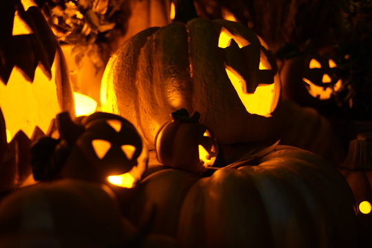 ジャックランタン Images Browse 3 653 Stock Photos Vectors And Video Adobe Stock ジャックランタン Images Browse 3 653 Stock Photos Vectors And Video Adobe Stock