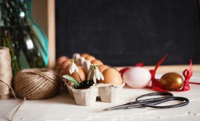 Easter,spring holidays background,egg,snowdrop,nest