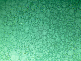 Macro close up of soap bubbles look like scienctific image of cell and cell membrane