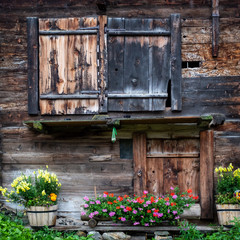 Old wooden Swiss mountain hut decorated with pelargonium flowers