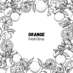Orange hand drawn package design. Vector illustration. Orange sketch for menu design, brochure illustration. Black and white design. Citrus orange frame illustration. Can used for packaging design.