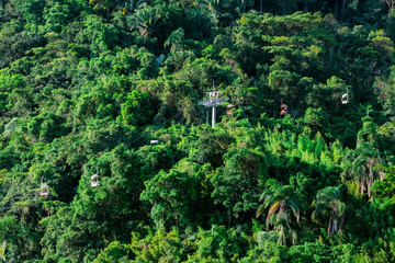 Chairlift ride climbing up a hill surrounded by atlantic forest with tall green trees. Photo taken at the Chairlift of Sao Vicente SP Brazil.