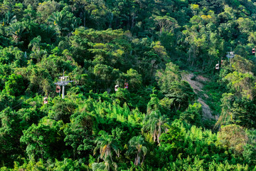 Chairlift ride climbing up a hill surrounded by atlantic forest with tall green trees. Photo taken at the Chairlift of Sao Vicente SP Brazil.