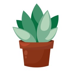 Green cactus pot, home garden botani houseplant, cacti decoration.