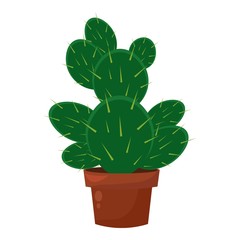 Obraz premium Green cactus pot, home garden botani houseplant, cacti decoration.