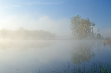 Fototapeta na wymiar Spring landscape at sunrise of foggy Jackson Hole Lake with reflections in calm water, Fort Custer State Park, Michigan