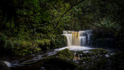 Obraz premium landscape