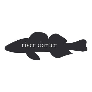 perch river fish black silhouette on white background