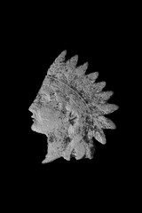 Indian Head Penny Bust