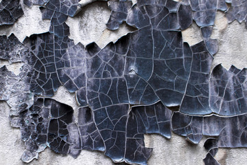 Abstract background, old cracked plaster wall