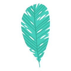 Long tropical leaf icon. Cartoon abstract vector icon for web design isolated on white background.