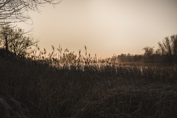 Jeziorko Powsinkowskie