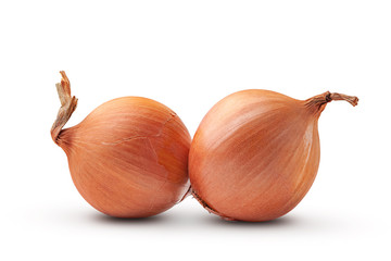 Onion. Two fresh bulbs of organic onion. Onion isolated on white background.
