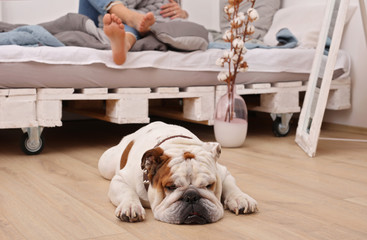 Relax your feet after whole day walking. Barefoot Woman and lazy tied dog at home
