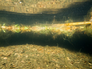 Steep shore bank of lake with fallen autumn leaves on bottom