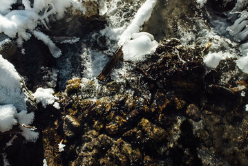 Obraz premium Frozen nature