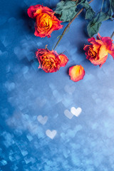 Dried orange roses, bunch of beautiful faded flowers on blue background with heart bokeh