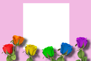 Roses with LGBT colors and white writing frame