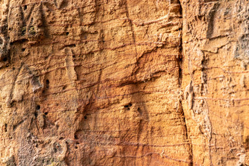 Texture of layers of brown sand cross section. Cliff on the beach