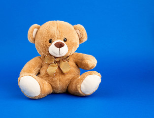 cute little brown teddy bear, copy space