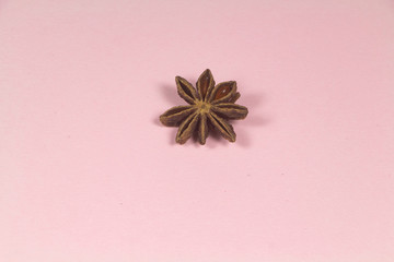 Star anise on pink background