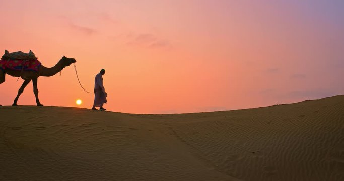 Indian cameleers (camel driver) bedouin with camel silhouettes in sand dunes of Thar desert on sunset. Caravan in Rajasthan travel tourism background safari adventure. Jaisalmer, Rajasthan, India