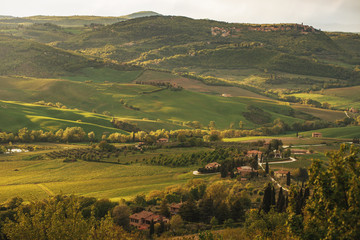 Rural tuscany at sunset