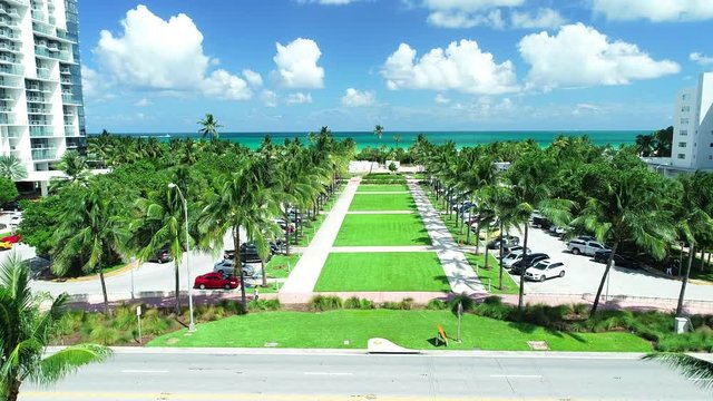 Aerial view of South Beach, green palm and Atlantic ocean.